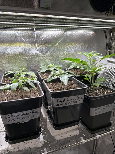 Growreport Bild 26