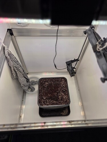 Growreport Bild 13