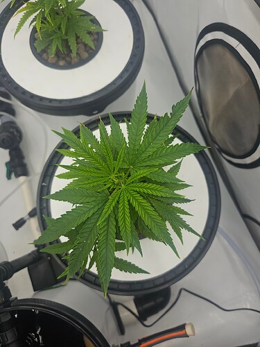 Growreport Bild 16