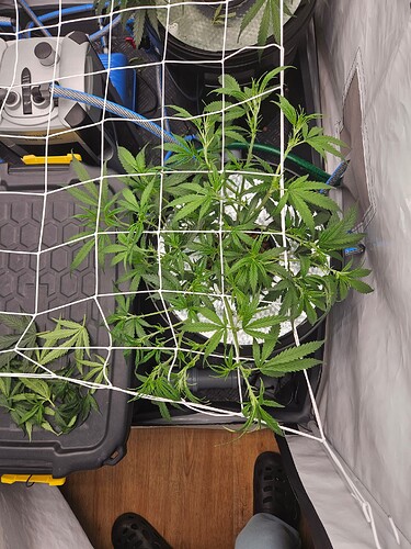 Growreport Bild 14