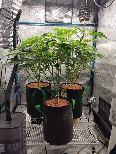 Growreport Bild 7