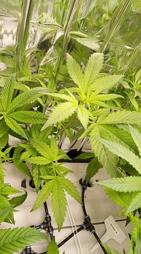 Screenshot_20250404_100948