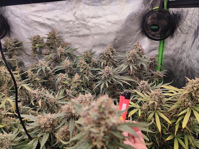 Growreport Bild 24