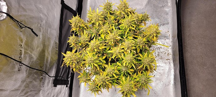 signal-2024-04-16-19-03-22-779-8