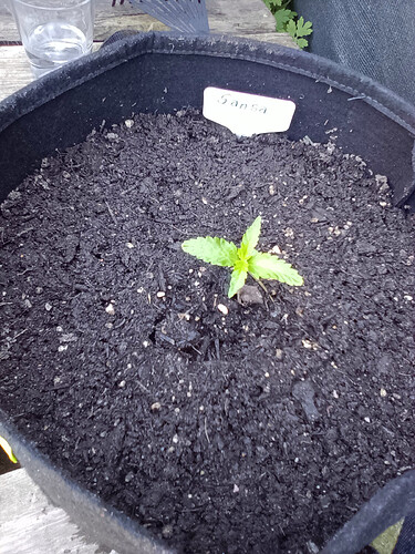 IMG_20240515_095842_8