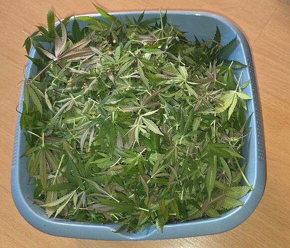 Growreport Bild 57