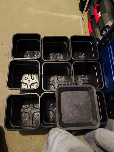 Growreport Bild 11