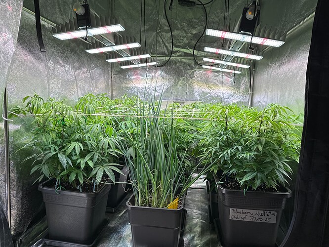 Growreport Bild 14