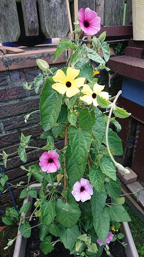 Growreport Bild 22