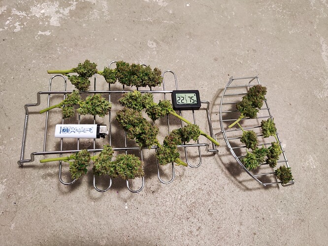 Growreport Bild 10