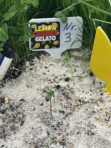 Growreport Bild 26