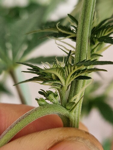 Growreport Bild 9