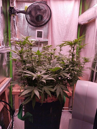 Growreport Bild 2