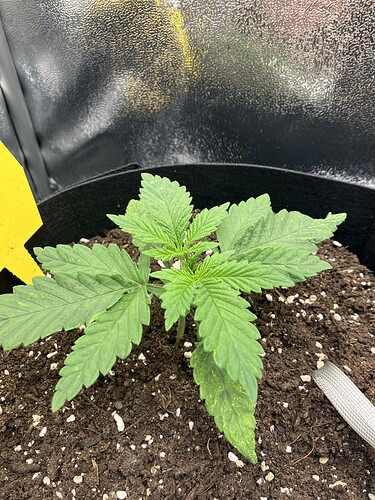 Growreport Bild 17