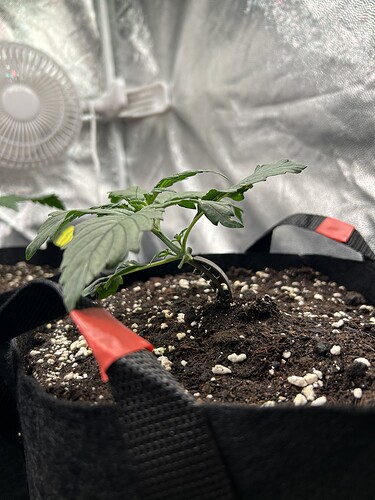 Growreport Bild 12
