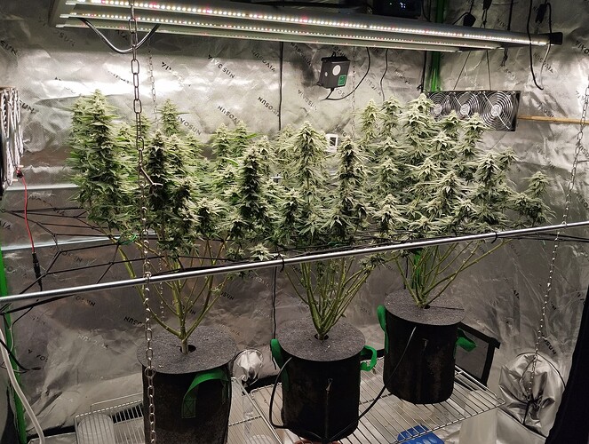 Growreport Bild 1