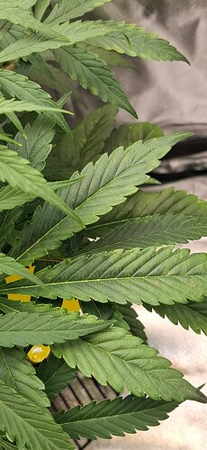 Growreport Bild 7