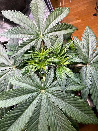 Growreport Bild 18