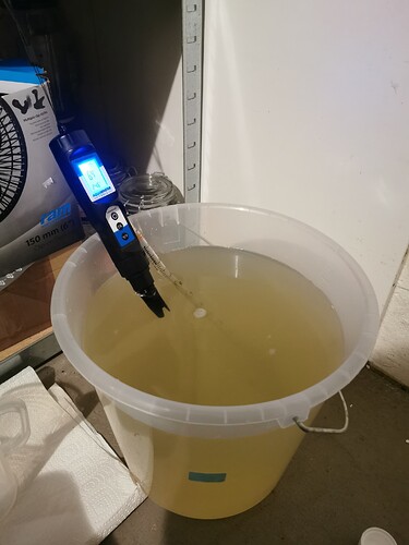 Growreport Bild 3