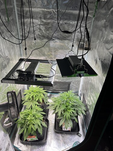Growreport Bild 15