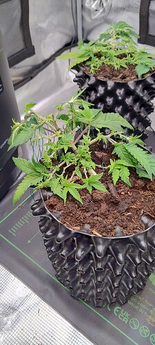 IMG_20250928_102141730_HDR