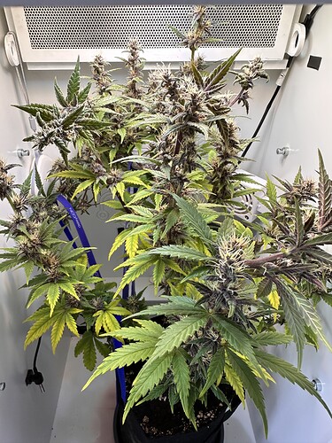 Growreport Bild 2