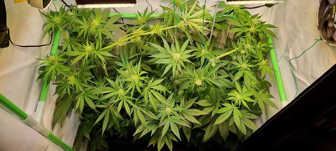 Growreport Bild 10