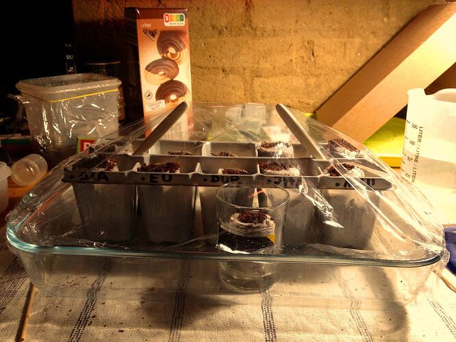 Grow26_0503_Aussaat1_07