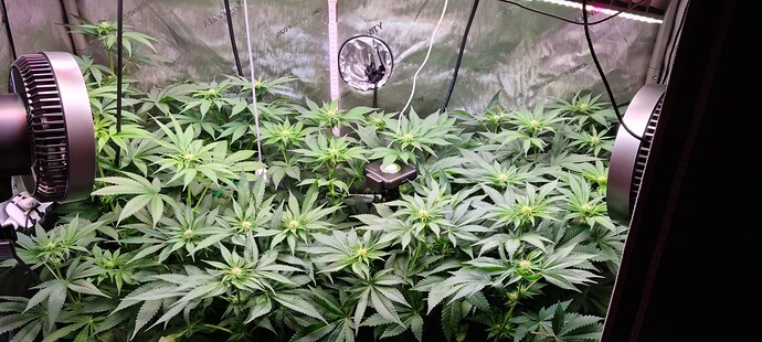 Growreport Bild 1