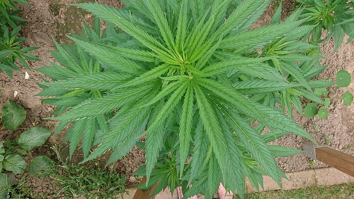 Growreport Bild 24