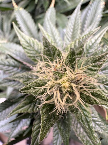 Growreport Bild 10