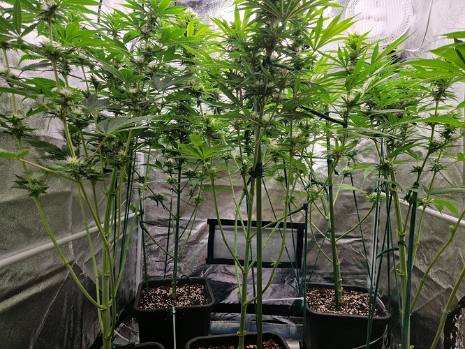 Growreport Bild 11