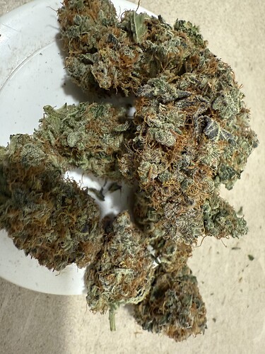 Growreport Bild 23