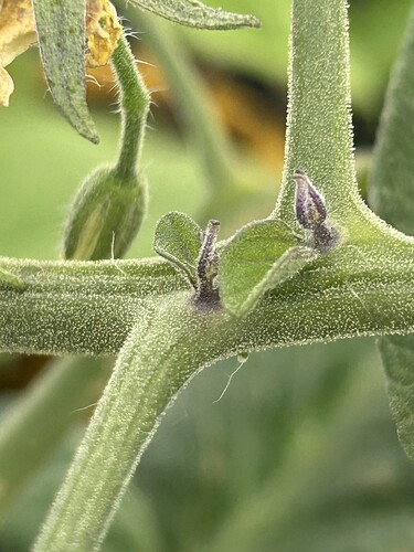 Growreport Bild 14
