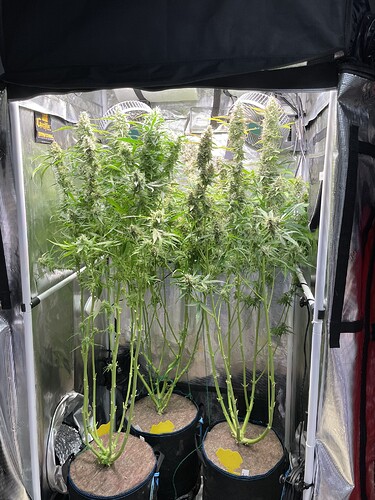 Growreport Bild 1