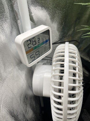 Growreport Bild 4