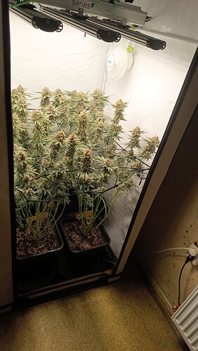 Growreport Bild 7