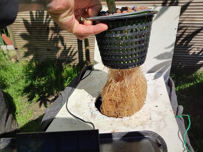 Growreport Bild 21