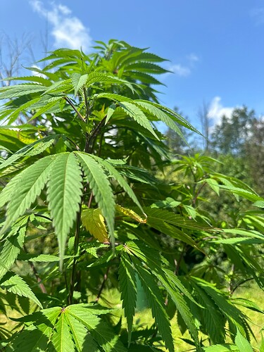 Growreport Bild 25