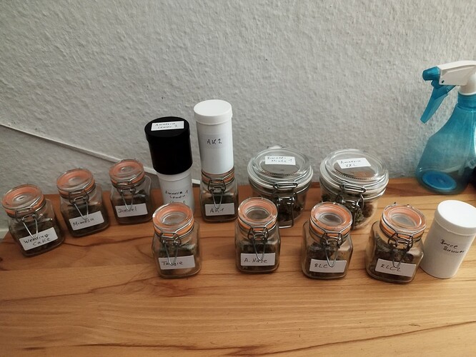 Growreport Bild 3
