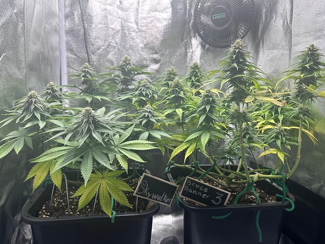 Growreport Bild 22