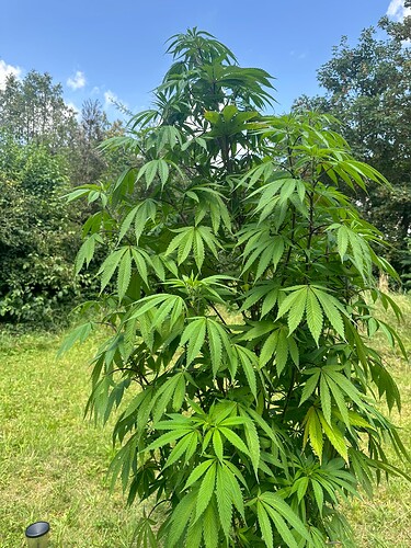 Growreport Bild 24
