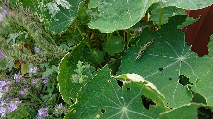 Growreport Bild 12