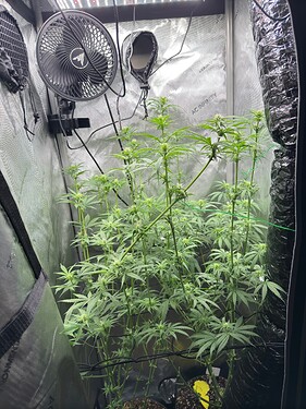 Growreport Bild 8