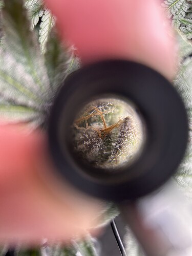 Growreport Bild 22
