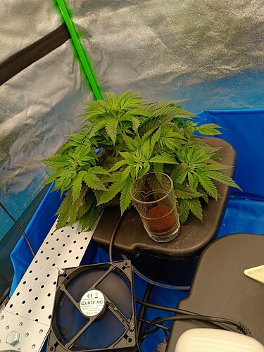 Growreport Bild 2