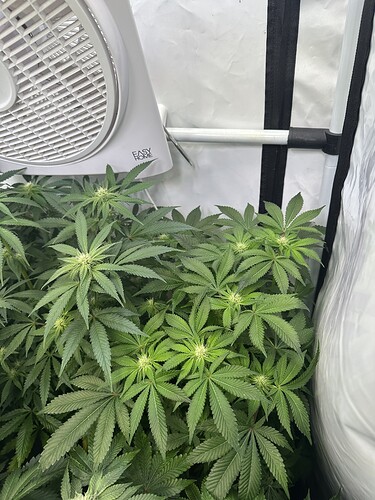 Growreport Bild 16