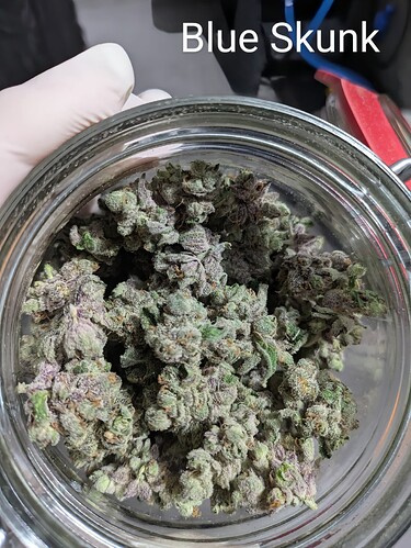 Growreport Bild 12