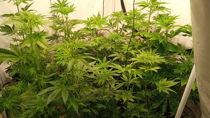 Growreport Bild 16