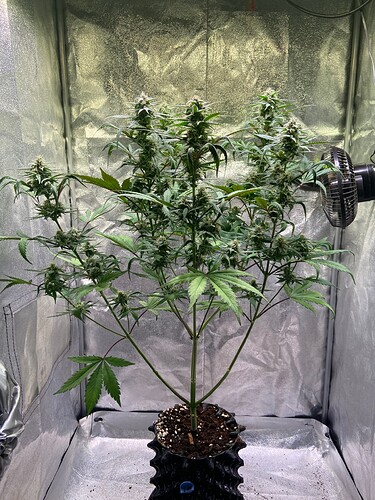 Growreport Bild 15